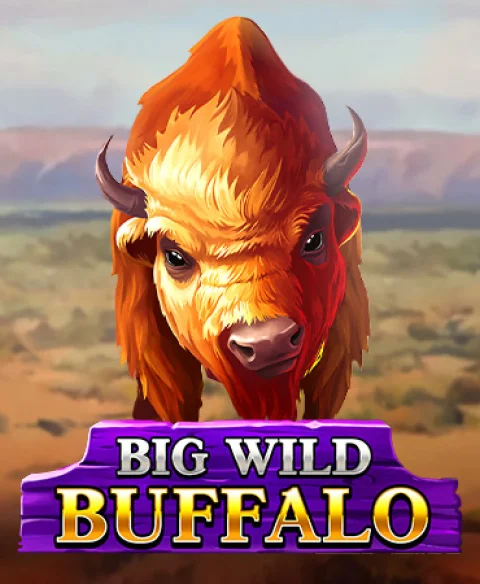 Play Big Wild Buffalo at Chelsea Palace Casino